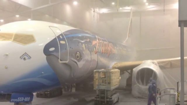 Alaska Airline Salmon 737 Paint Timelapse смотреть онлайн