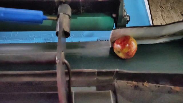 How apples are packed|| Apple Grade hoke pack kaise hote hai #apple #farming #fruit смотреть онлайн