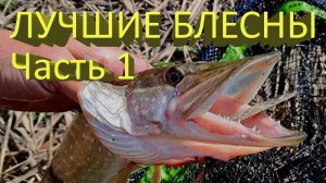 🔥 Лучшие БЛЕСНЫ на ЩУКУ (часть 1). Mepps или Kuusamo? ЩУКА ОЦЕНИЛА, всю рыбалку спиннинг в дугу 🔥