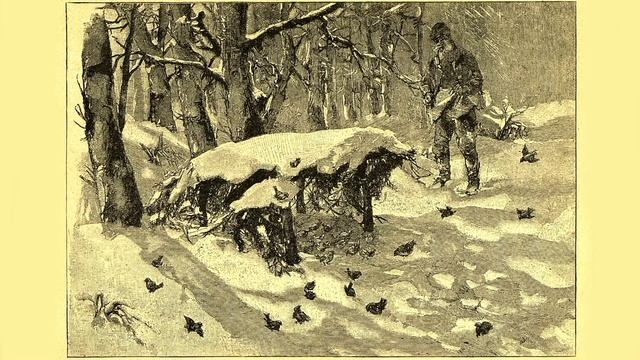 "Рождество в лесу" смотреть онлайн