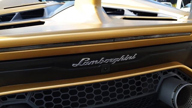 GOLDEN LAMBORGHINI AVENTADOR SVJ ROADSTER || By AutoSeredinGermany смотреть онлайн