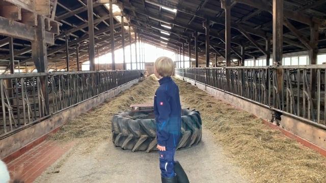 Hofführung von Lenke und Lennard смотреть онлайн