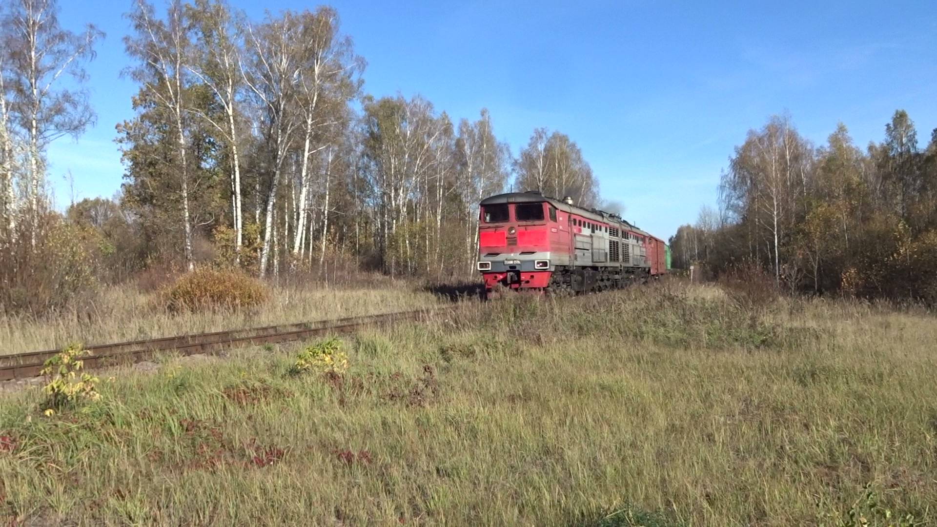 Тепловоз 2ТЭ10М-2129 с грузовым поездом не перегоне Окская - Кожевенное смотреть онлайн