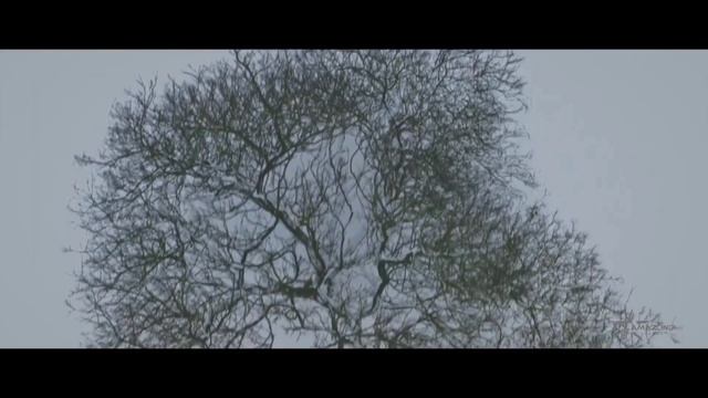 Фильм "ЭКСТАЗ" (2018) - Русский тизер-трейлер | Amazing cinema 60 FPS смотреть онлайн