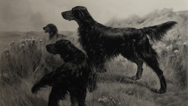 «Нигер». Рассказ Елизаветы Тулуб. смотреть онлайн