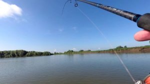 Дикая раздача щуки в Августе, одни сходы с утра