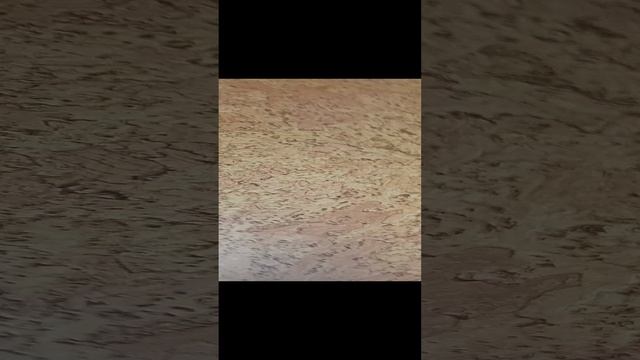 вещи умки смотреть онлайн