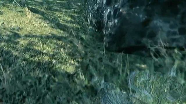 Crysis PS3. смотреть онлайн