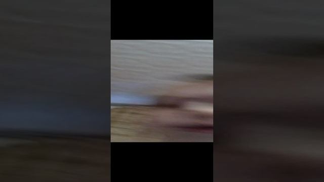 Спасибо за эфир смотреть онлайн