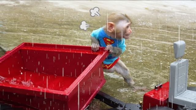 Monkey Baby Bon Bon eats m&m jelly at the Swimming pool with ducklings. Обезьянка Бон Бон смотреть онлайн