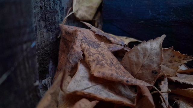 Осенний день