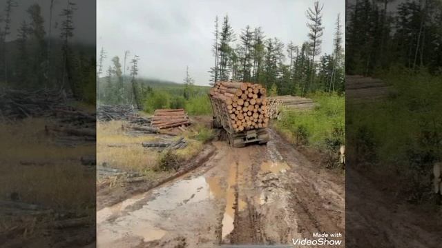 Макс Вертиго#Феликс Верняковский-Лесовозам смотреть онлайн
