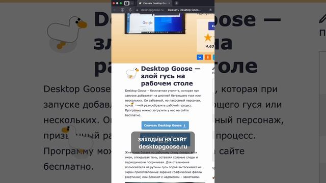 Гусь на рабочем столе! смотреть онлайн