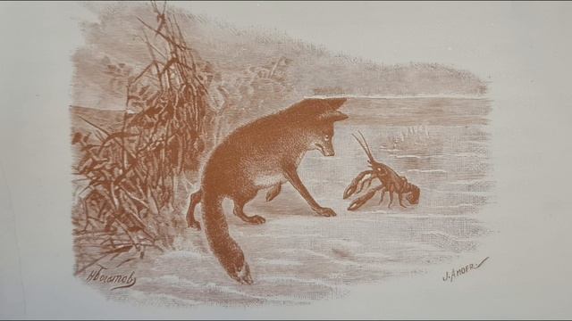 Русская народная сказка. «Как Лиса и Ракъ перегонялись». смотреть онлайн