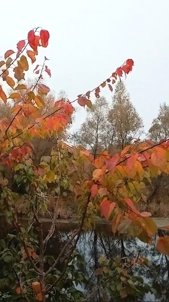 Стишок-крепышок смотреть онлайн