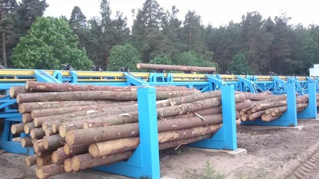 Верхнедвинский лесхоз смотреть онлайн