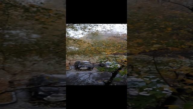 Первый снежок...