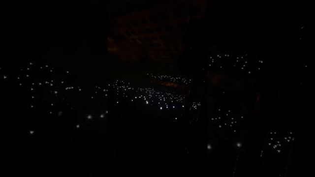 Невероятная красота на концерте Элвин Грей смотреть онлайн