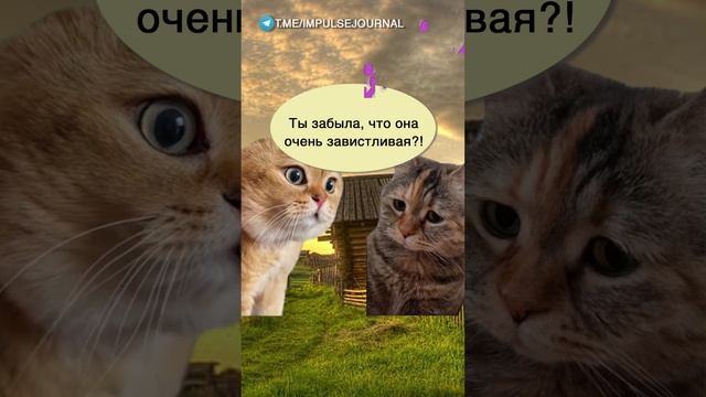 Зависть соседа #мыкотики #вмем #разговор #анекдот #шутки #кот #юмор #смешное #прикольно #мемы #cat смотреть онлайн