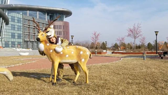 Новогодние приключения леопарда в Азии \ Leopard's New Year Adventure смотреть онлайн