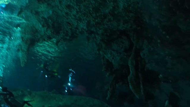 Cenote diving in Yucatán, Mexico with Google Pixel 7 and Divevolk смотреть онлайн