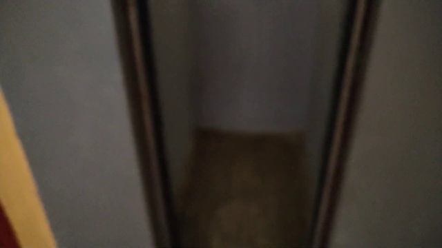 Лифт ЦРМЗ, раб. с 1983 г., V=0,71 м/с, г/п 240 кг смотреть онлайн