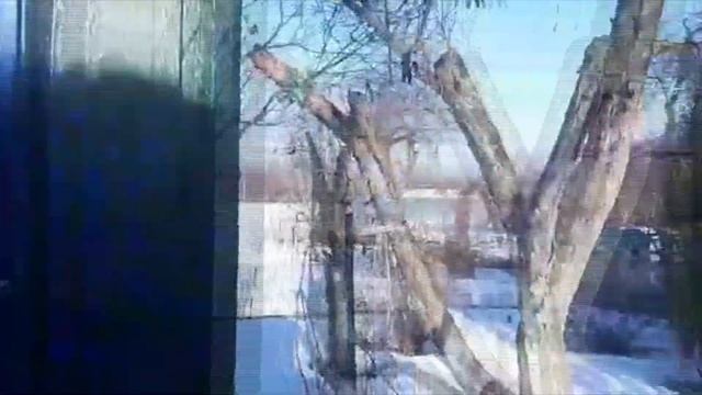 Видео друзей смотреть онлайн