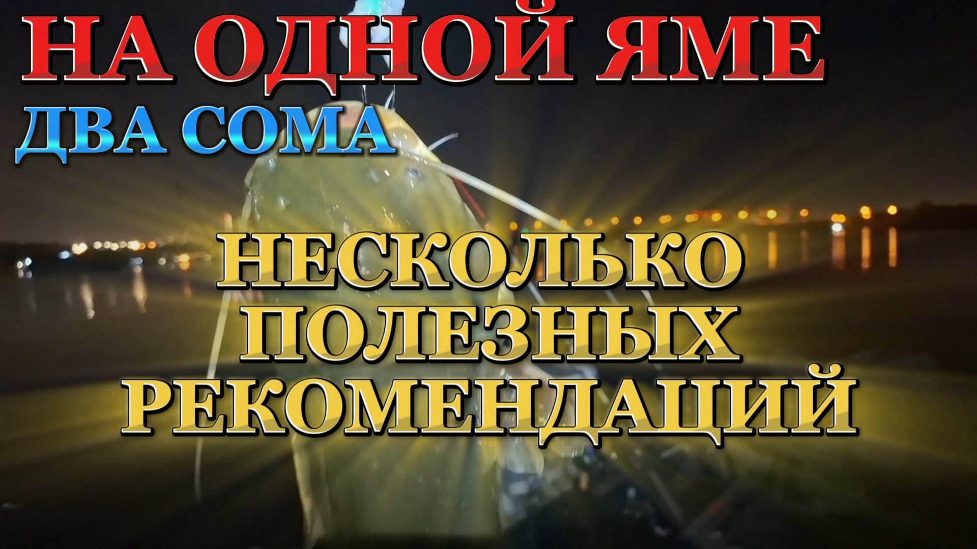 СОМ на КВОК! РЫБАЛКА с КВОКОМ! ЛОВЛЯ СОМА. смотреть онлайн