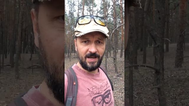 Сказка про маленьких девочек, серых волков и красных мухоморов. смотреть онлайн