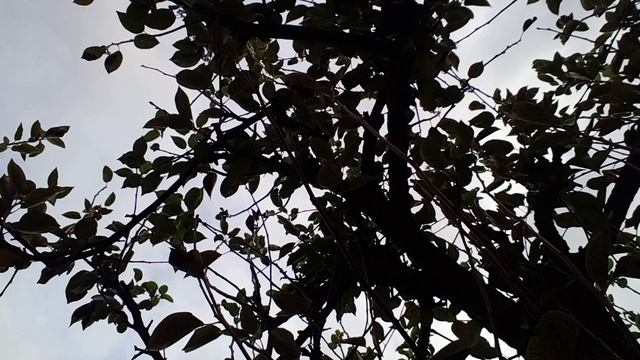 20241014_083152.mp4 смотреть онлайн