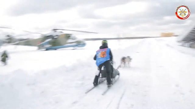Русские заставили слушаться американских собак