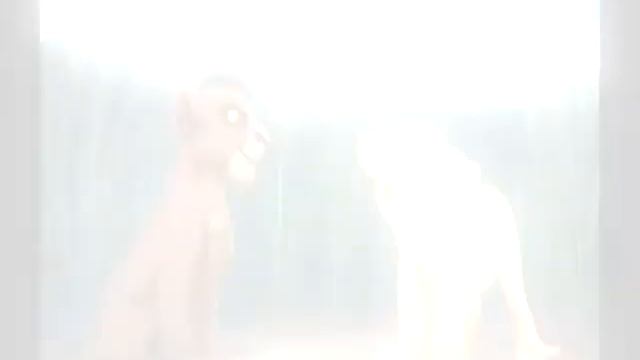 ♥♥♥Кову + Киара The Lion King♥♥♥ смотреть онлайн