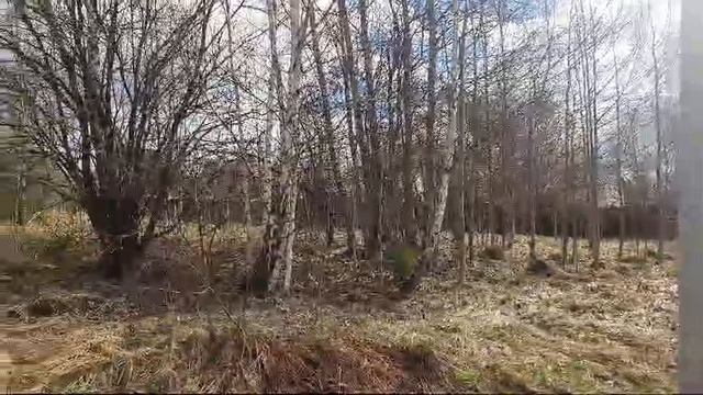 зу: 1002 д. Редино смотреть онлайн