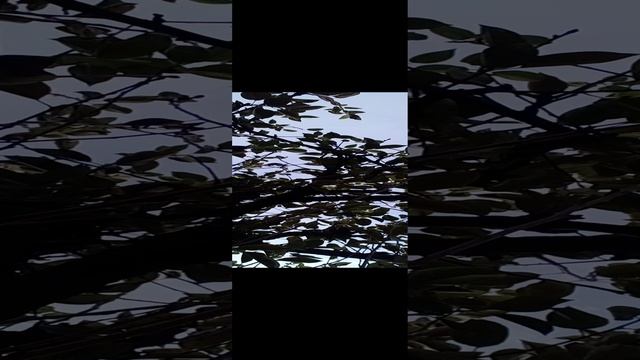 20241014_085639.mp4 смотреть онлайн