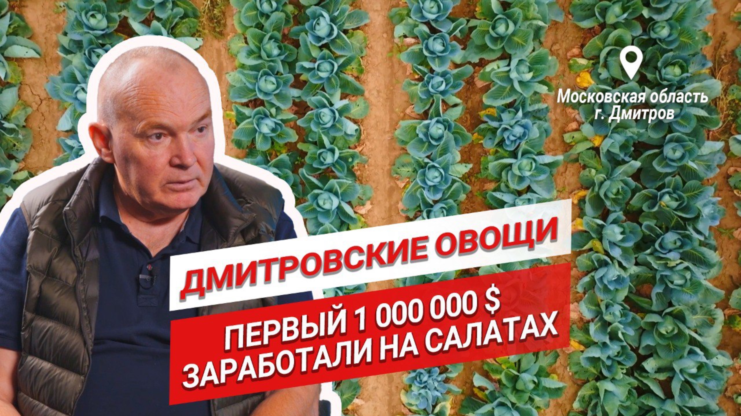 Первый миллион долларов на салатах | Дмитровские овощи | Сергей Филиппов | Овощи открытого грунта смотреть онлайн