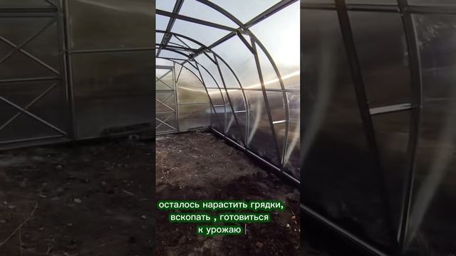 Когда длины теплицы не хватило. Увеличили длину с 4м до 8м.