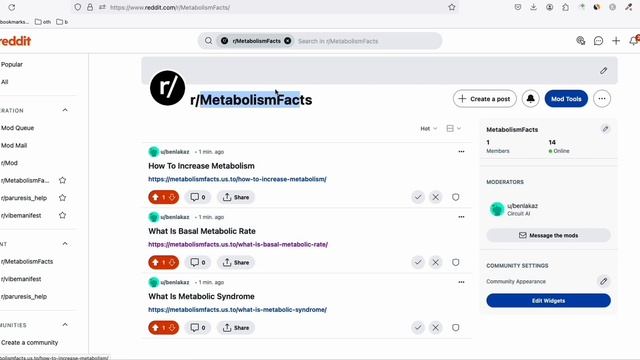Instant Traffic (Literally) for New Blog: Reddit's Success Formula смотреть онлайн