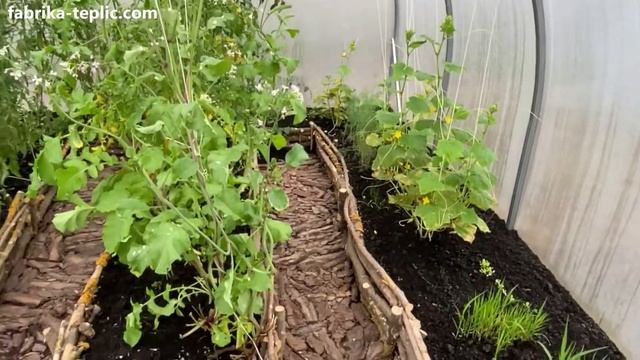 Виставка теплиць в Гостомелі (Київ). Аркові теплиці від виробника смотреть онлайн