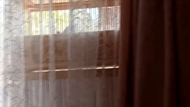 Видео друзей смотреть онлайн