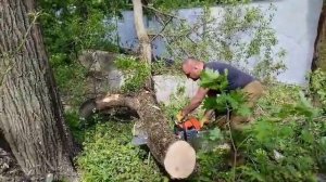 Бензопила ZimAni MS460 на тестах в работе.