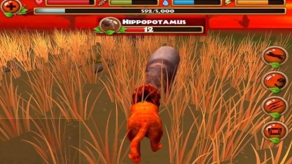 Safari Simulator: Lion