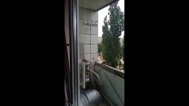 Видео Друзей смотреть онлайн