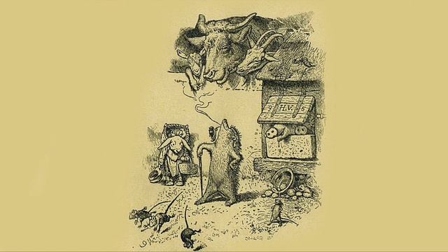 «Выскочка» смотреть онлайн