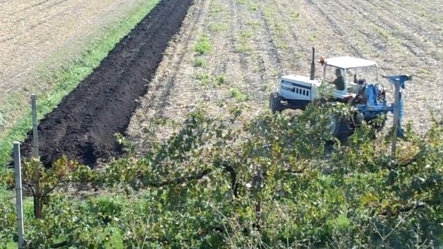 AGRIMOTOR TRATTORE LAMBORGHINI 654 DT in aratura смотреть онлайн