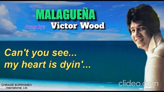VoL. 9 - The VICTOR WOOD Songspecials - (with Lyrics) смотреть онлайн