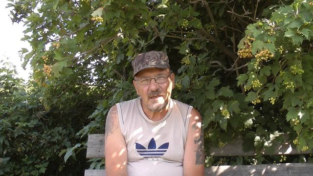 строительство питомника смотреть онлайн