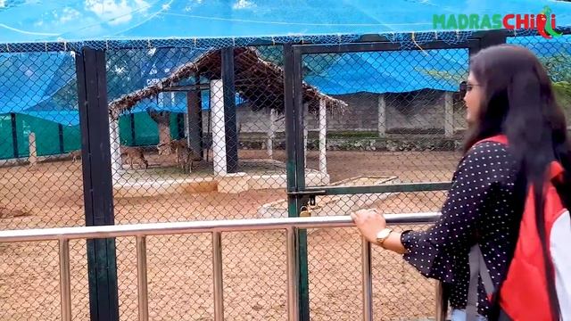 Guindy National Park Tamil Vlog смотреть онлайн