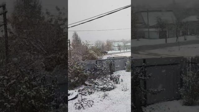 ПЕРВЫЙ СНЕГ В ПОКРОВ.