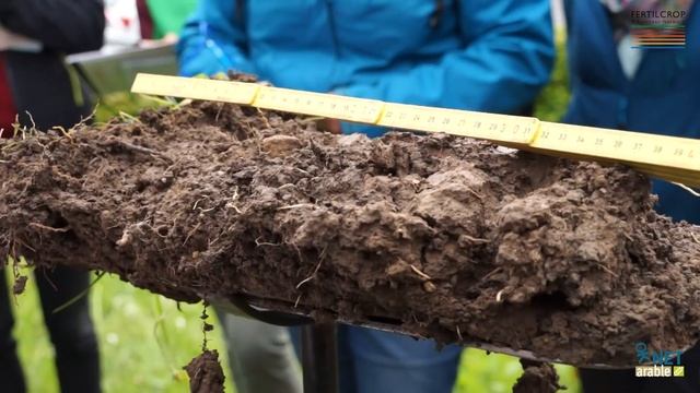 The Spade Test – Visual Soil Assessment in the Field (Sept 2016) смотреть онлайн