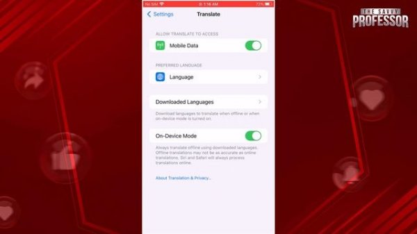 How to Use Google Translate Offline on iPhone (How to Use Google Translate App Offline)